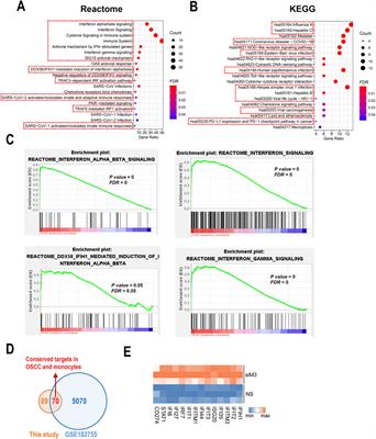 Genome-wide analysis reveals the MORC3-mediated repression of PD-L1 expression in head and neck cancer